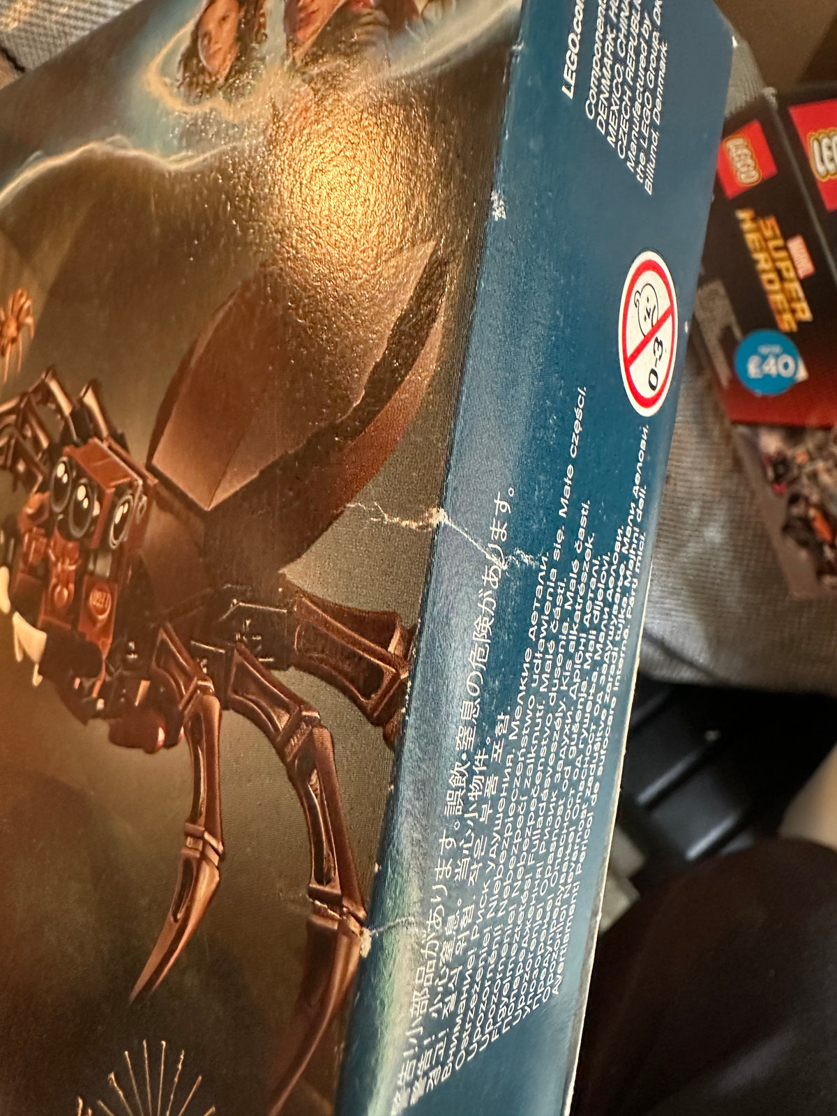 LEGO 75950 Harry Potter Aragog's Lair